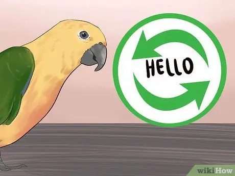 Научите собаку говорить, шаг 7