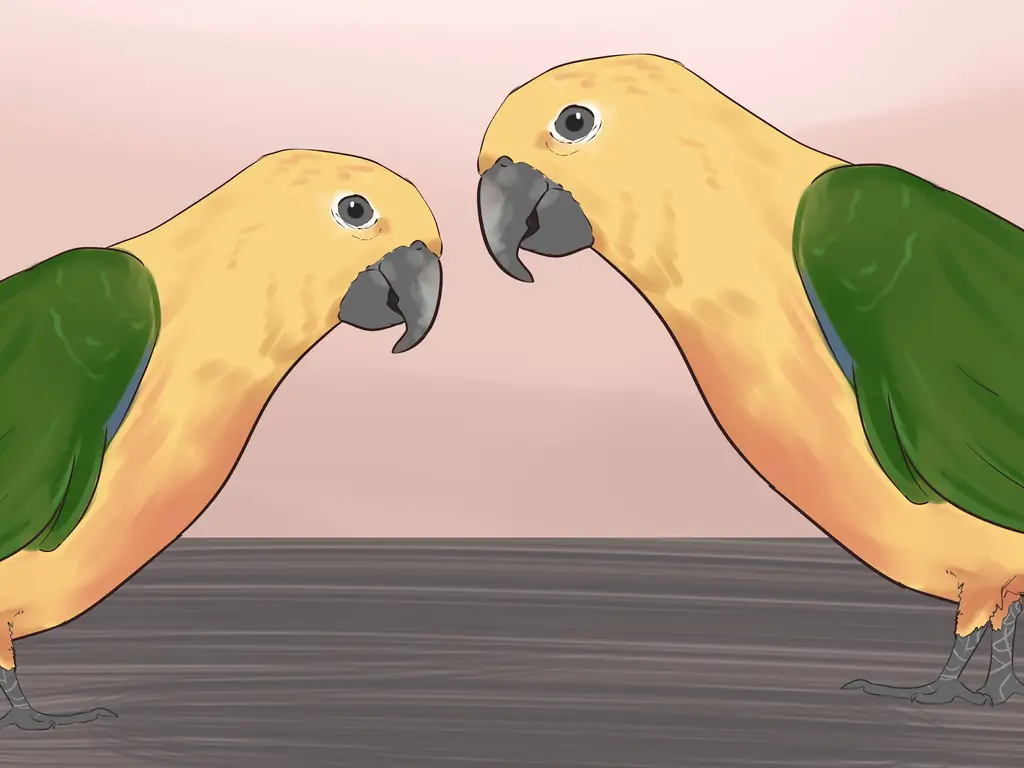 3 способа развлечься