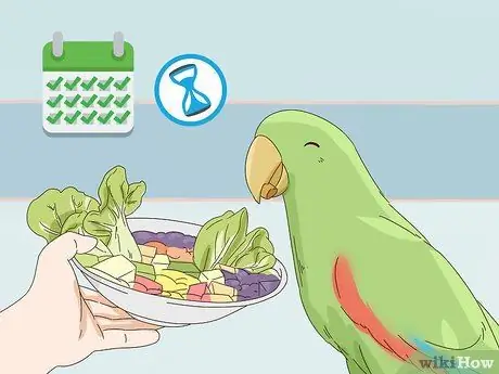 Покормить эклектуса Шаг 10