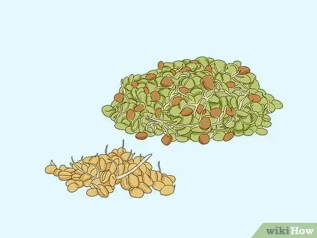 Покормить эклектуса Шаг 3