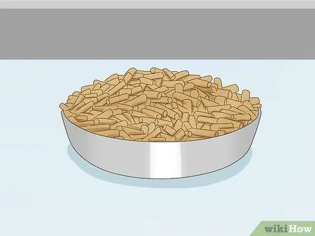 Покормить эклектуса Шаг 4