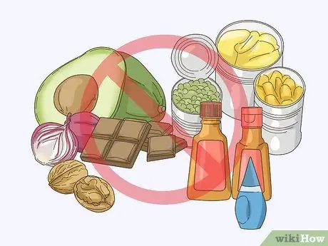 Покормить эклектуса Шаг 5