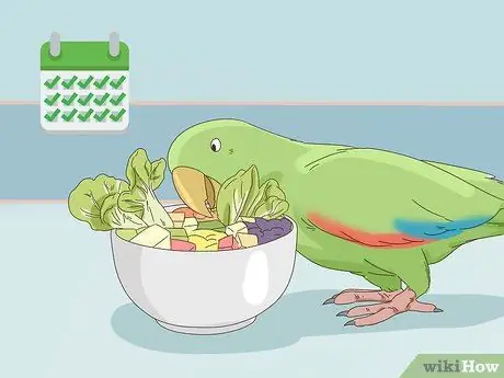 Покормить эклектуса Шаг 6