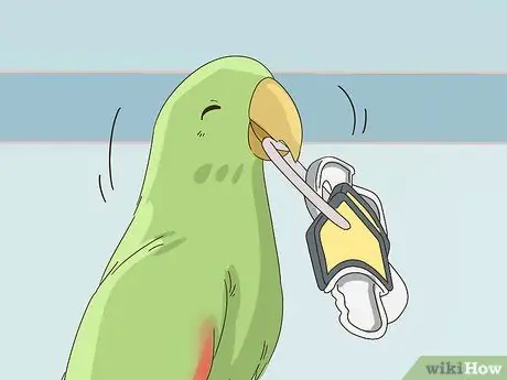 Покормить эклектуса Шаг 8