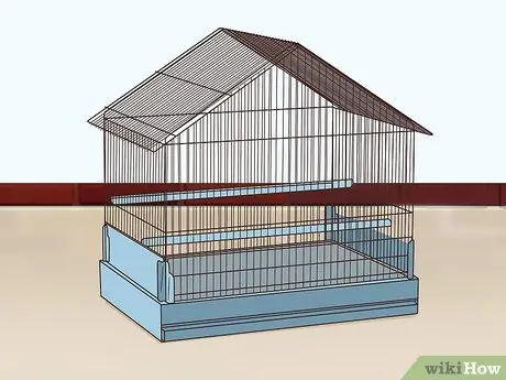 Создание среды обитания для эклектуса Шаг 1