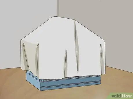 Создайте среду обитания для эклектуса Шаг 10