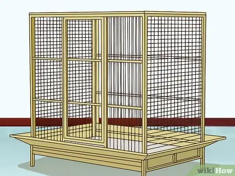 Создание среды обитания для эклектуса Шаг 2