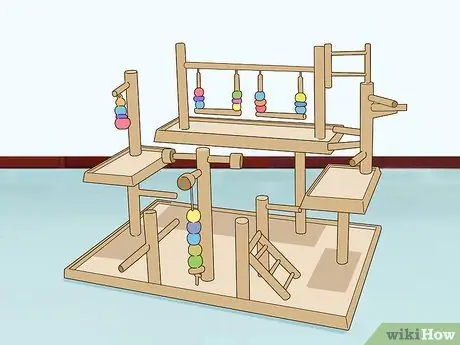 Создание среды обитания для эклектуса Шаг 7