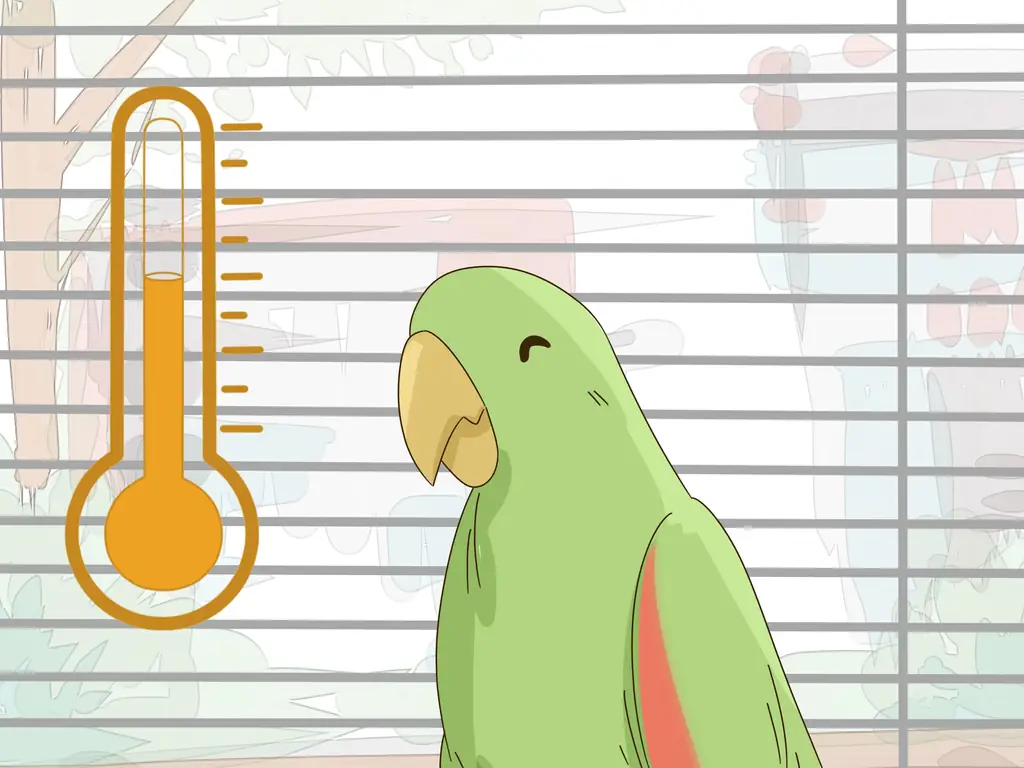 Как создать среду обитания для эклектусов: 12 шагов (с изображениями)