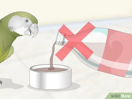 Покормить сенегальского попугая Шаг 11