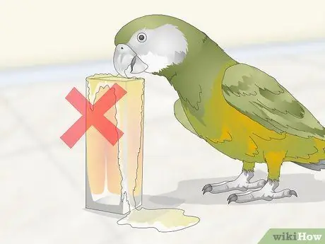 Покормить сенегальского попугая Шаг 12