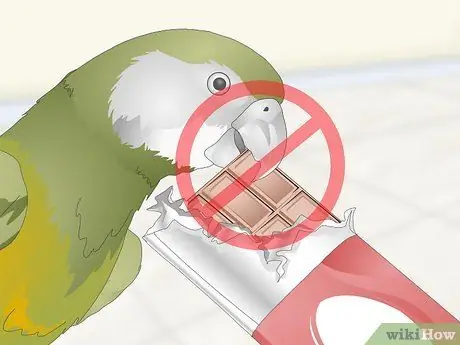 Покормить сенегальского попугая Шаг 13