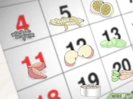 Покормить сенегальского попугая Шаг 6