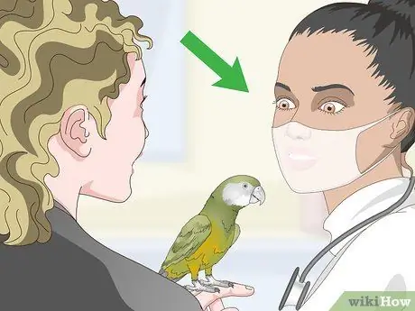 Покормить сенегальского попугая Шаг 7