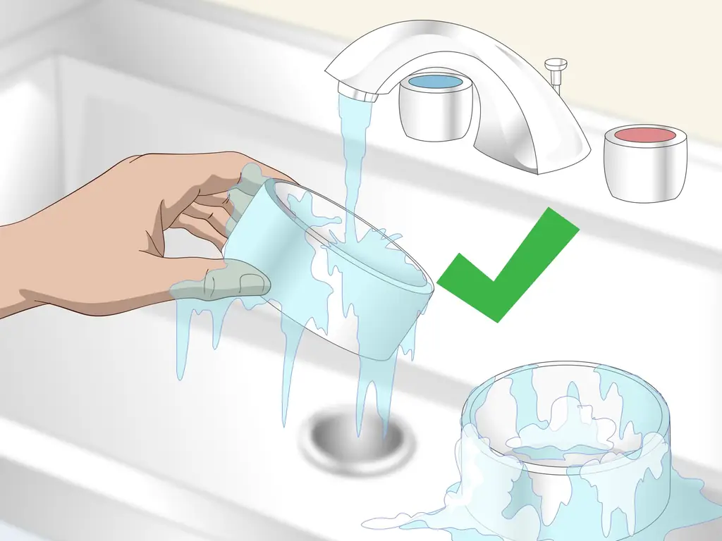 3 способа накормить сенегальского попугая