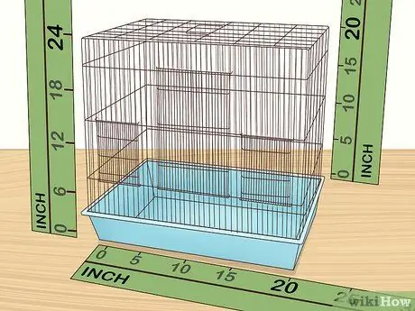 Остановите свою корелу от укусов Шаг 11
