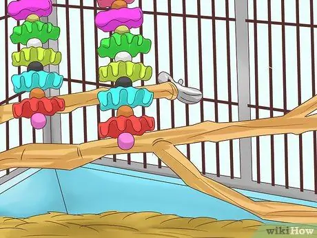 Как остановить укус кореллы Шаг 12