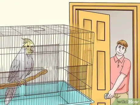 Как остановить укуса кореллы Шаг 7