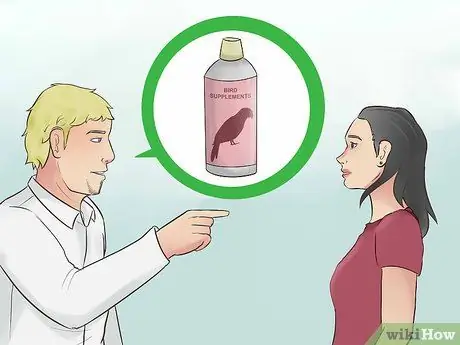 Покормить красного пузатого попугая Шаг 3