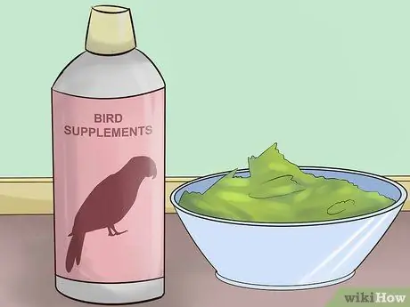 Покормить красного пузатого попугая Шаг 6