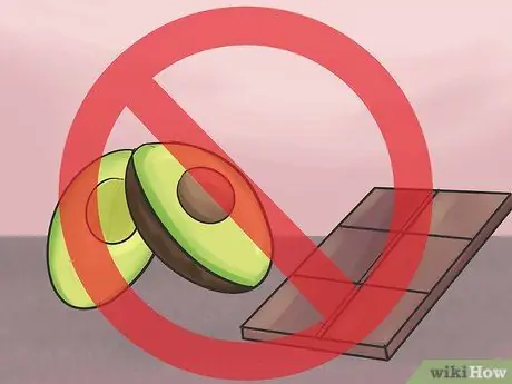 Покормить красного пузатого попугая Шаг 9