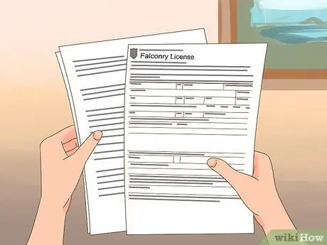 Тренируйте своего первого сокола, шаг 1