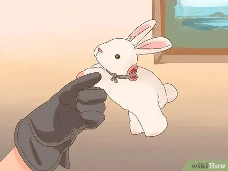 Тренируйте своего первого сокола, шаг 5