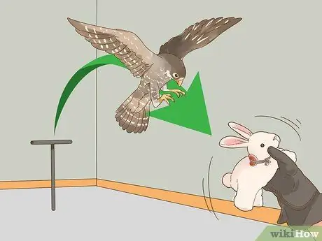 Приручите своего первого сокола, шаг 7