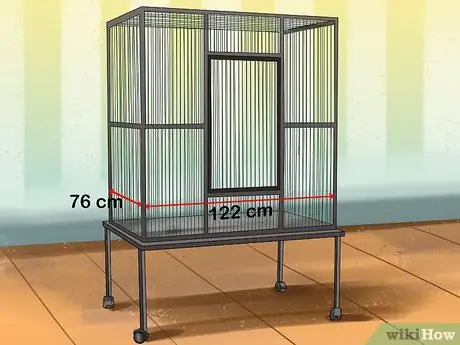 Жить с молукканским какаду Шаг 10