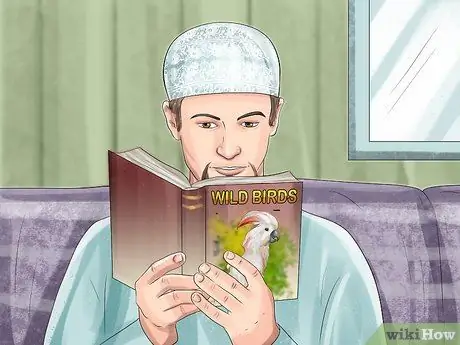 Живи с молукканским какаду, шаг 2