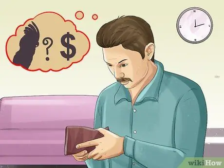 Живи с молукканским какаду, шаг 5