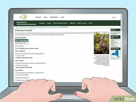 Стать сокольничником Шаг 10