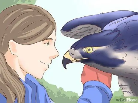 Стать сокольничником Шаг 3