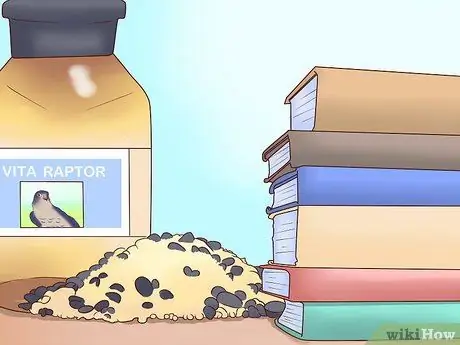 Стать сокольничником Шаг 4