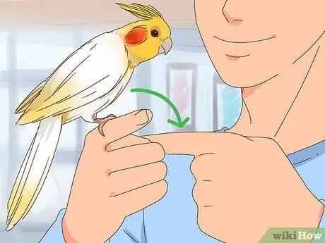 Поезд Кореллы Шаг 11