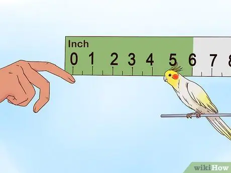 Поезд Корелла, шаг 13