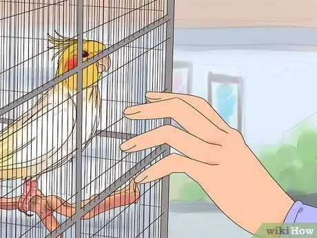 Поезд Корелла, шаг 6