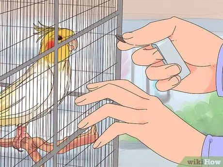 Поезд Корелла, шаг 7