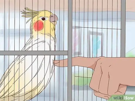 Поезд Корелла, шаг 8