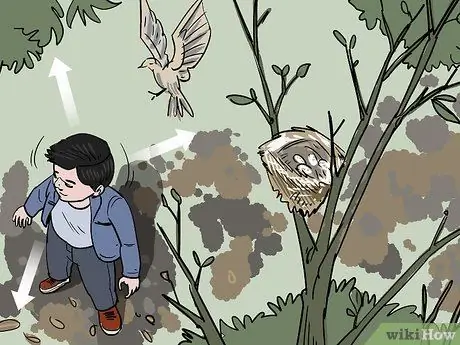 Переместить птичье гнездо, шаг 1