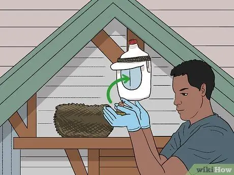 Переместить птичье гнездо. Шаг 10