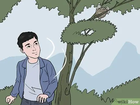 Переместить птичье гнездо, шаг 2