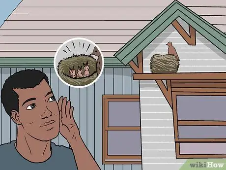 Переместить птичье гнездо. Шаг 7