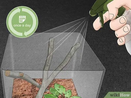 Создание среды обитания богомола Шаг 8