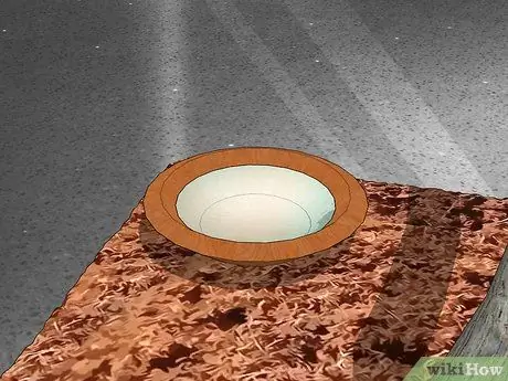 Сделайте среду обитания богомола Шаг 9