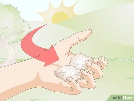 Держите питомца богомола без клетки Шаг 10