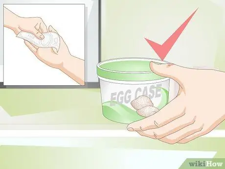 Держите питомца богомола без клетки Шаг 5