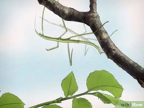 Позаботьтесь об ошибках прилипания Шаг 12