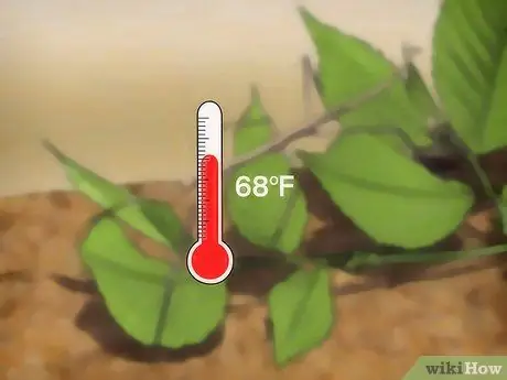 Позаботьтесь об ошибках прилипания Шаг 6