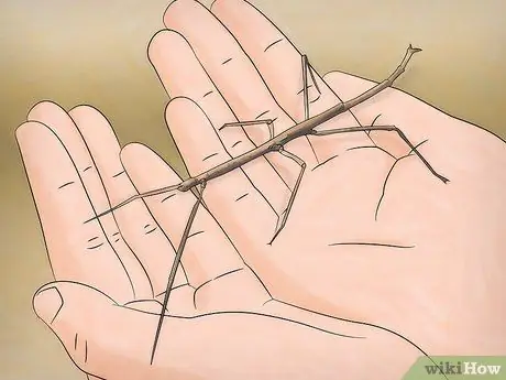 Позаботьтесь об ошибках прилипания Шаг 8